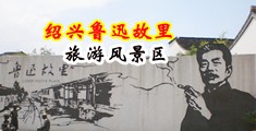 淫汤网视频中国绍兴-鲁迅故里旅游风景区